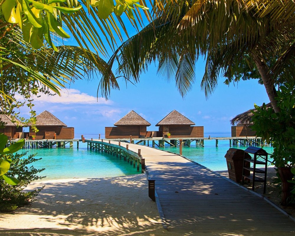 veligandu island, maldives, veligandu, relaxation, exotic, tropical, island, maldives, maldives, maldives, maldives, maldives